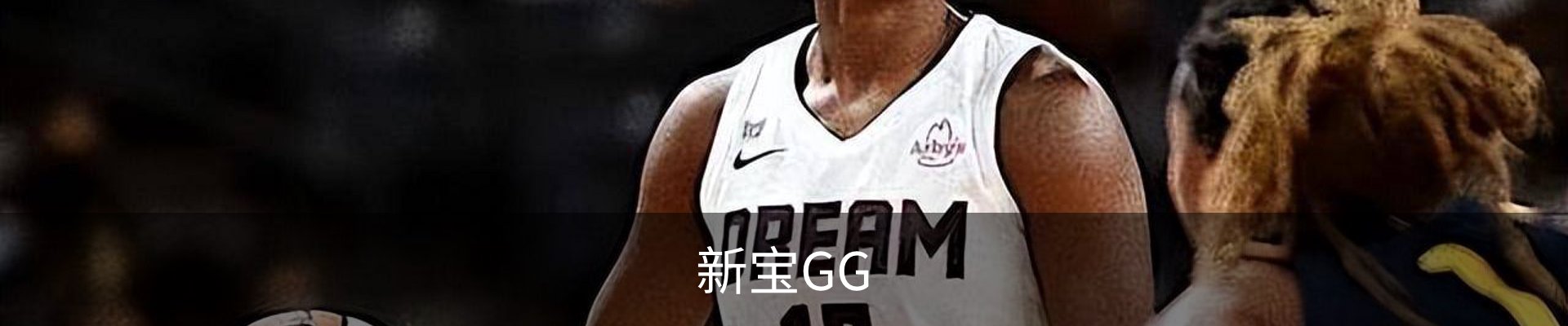 新宝GG